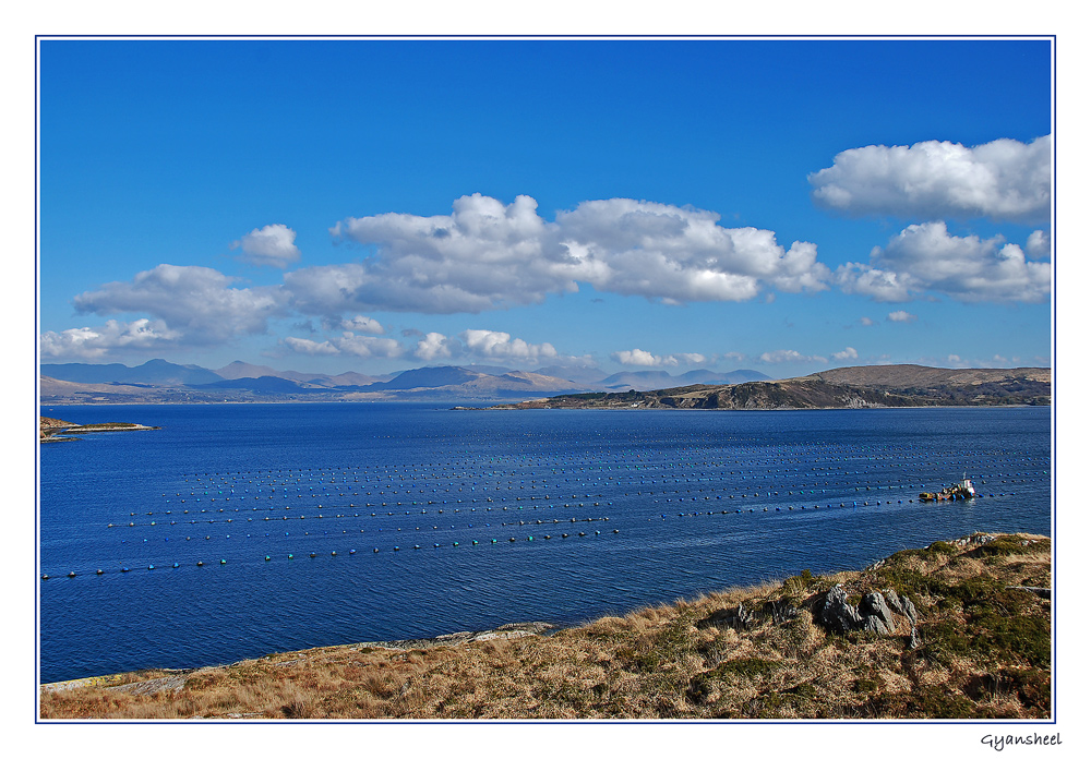 Muschelbänke Irland-Südwesten