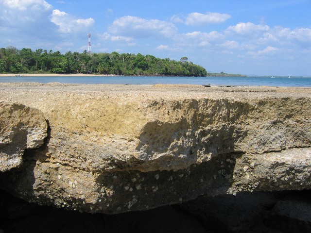 Muschelbank bei Krabi