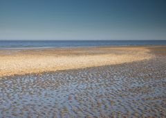 Muschelbesetzte Sandbank im Watt bei Schilling