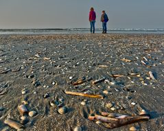 Muschelfriedhof...