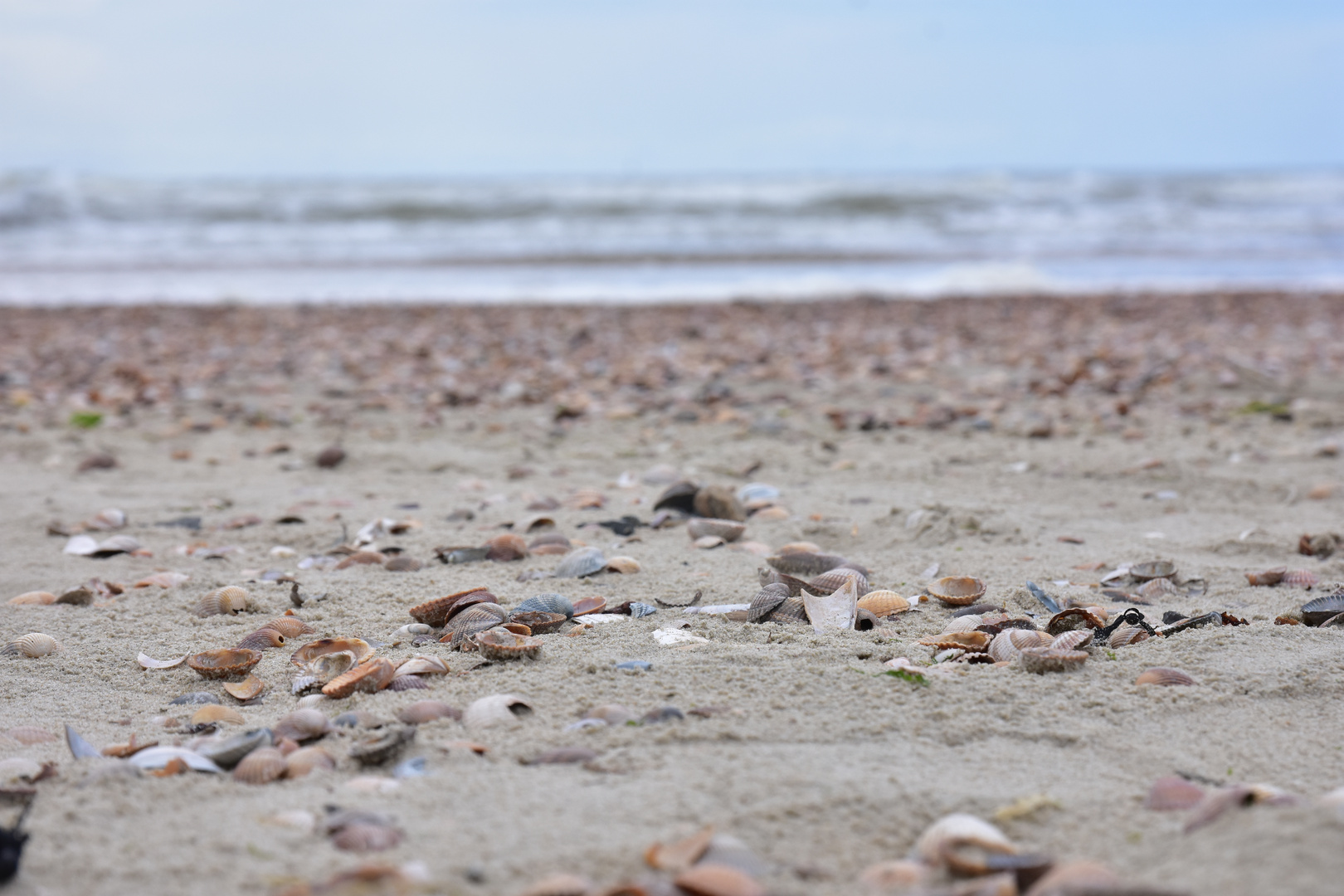 Muschelhaufen