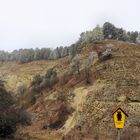 Muschelkalkfelsen im Jonastal