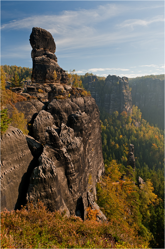 Muschelkopf und Heringsgrundnadel