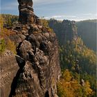 Muschelkopf und Heringsgrundnadel