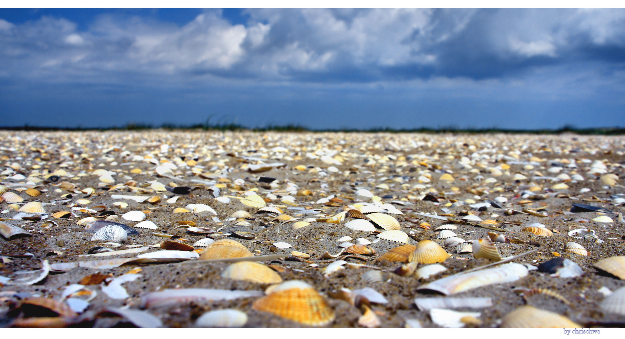 "Muschelmeer"