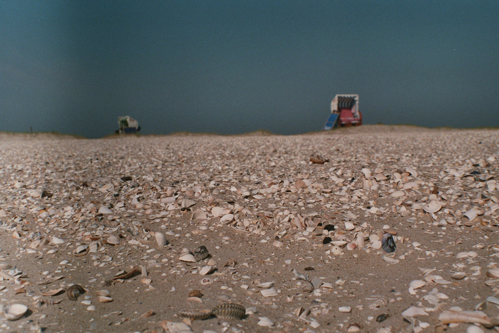 muschelmeer