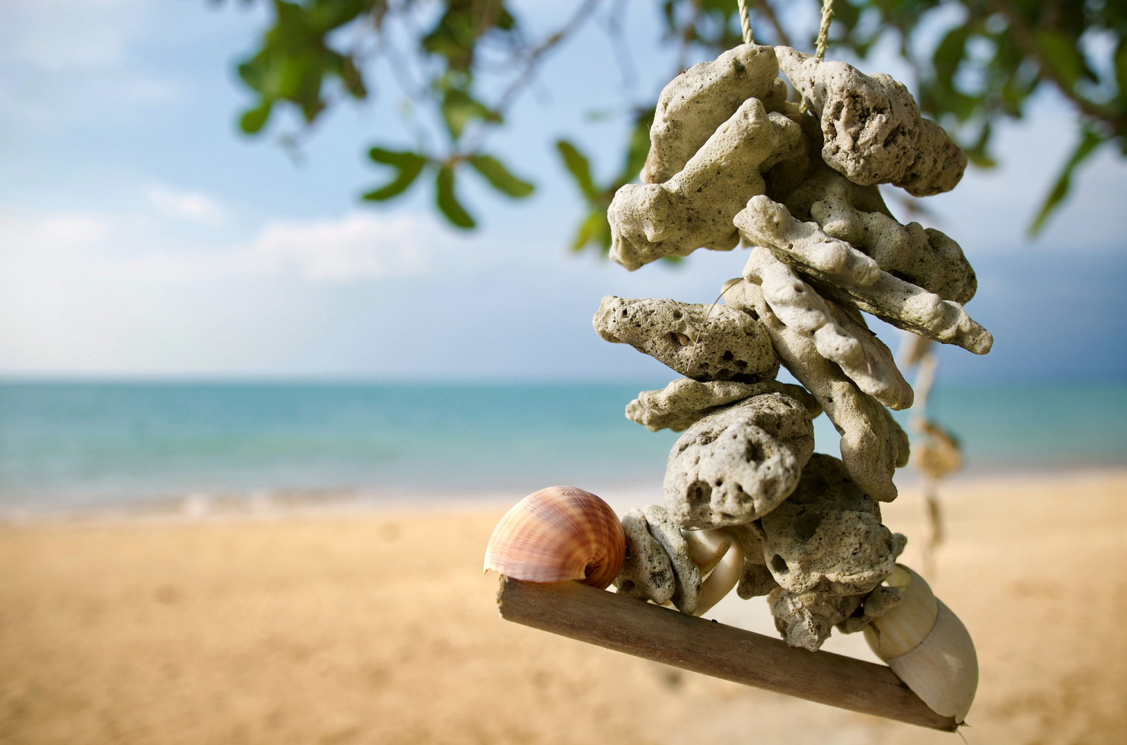 Muscheln am Strand