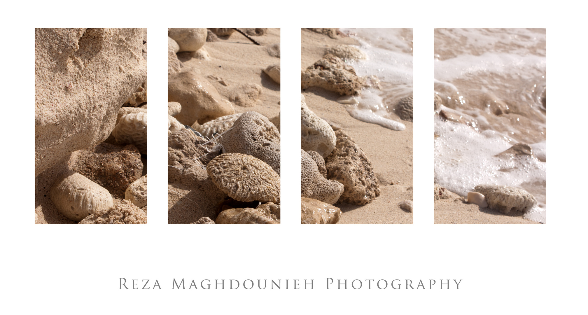 Muscheln am Strand