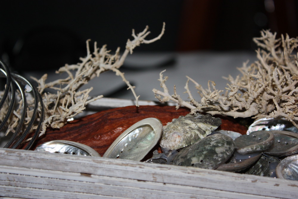 Muscheln auf dem Tisch. Spektakulär :-)