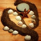 Muscheln im Sand