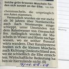 Muscheln Presse Teil 2