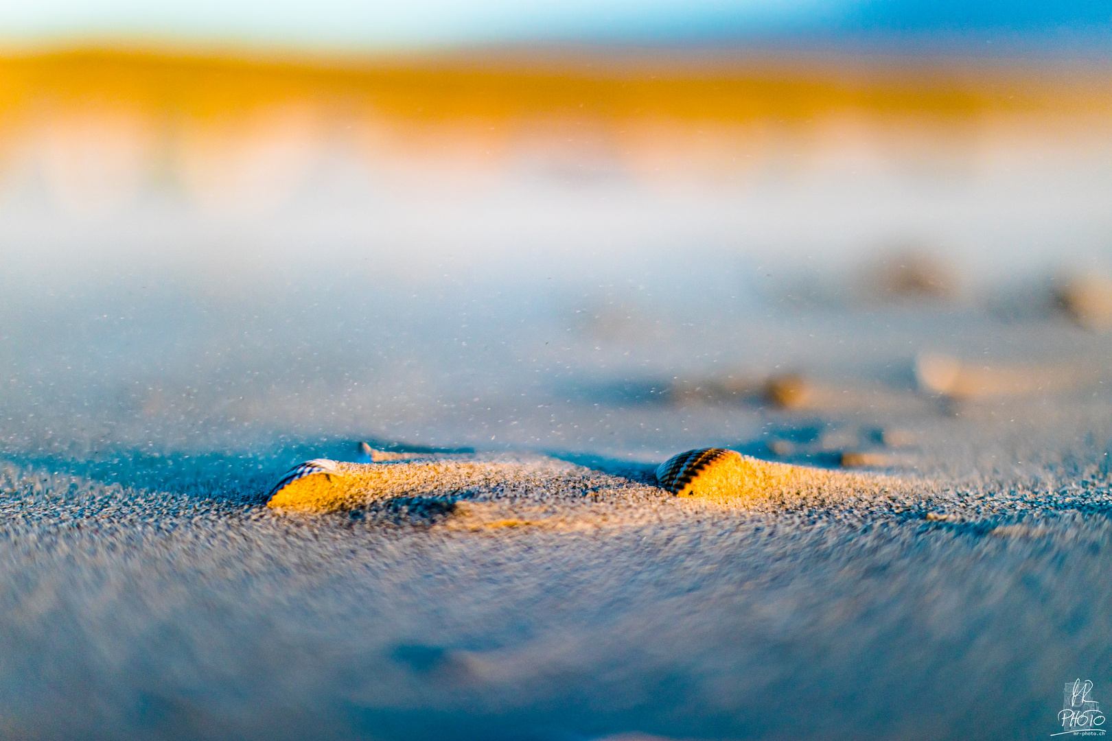 Muscheln & Sand