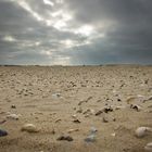 Muschelsand - Norderney