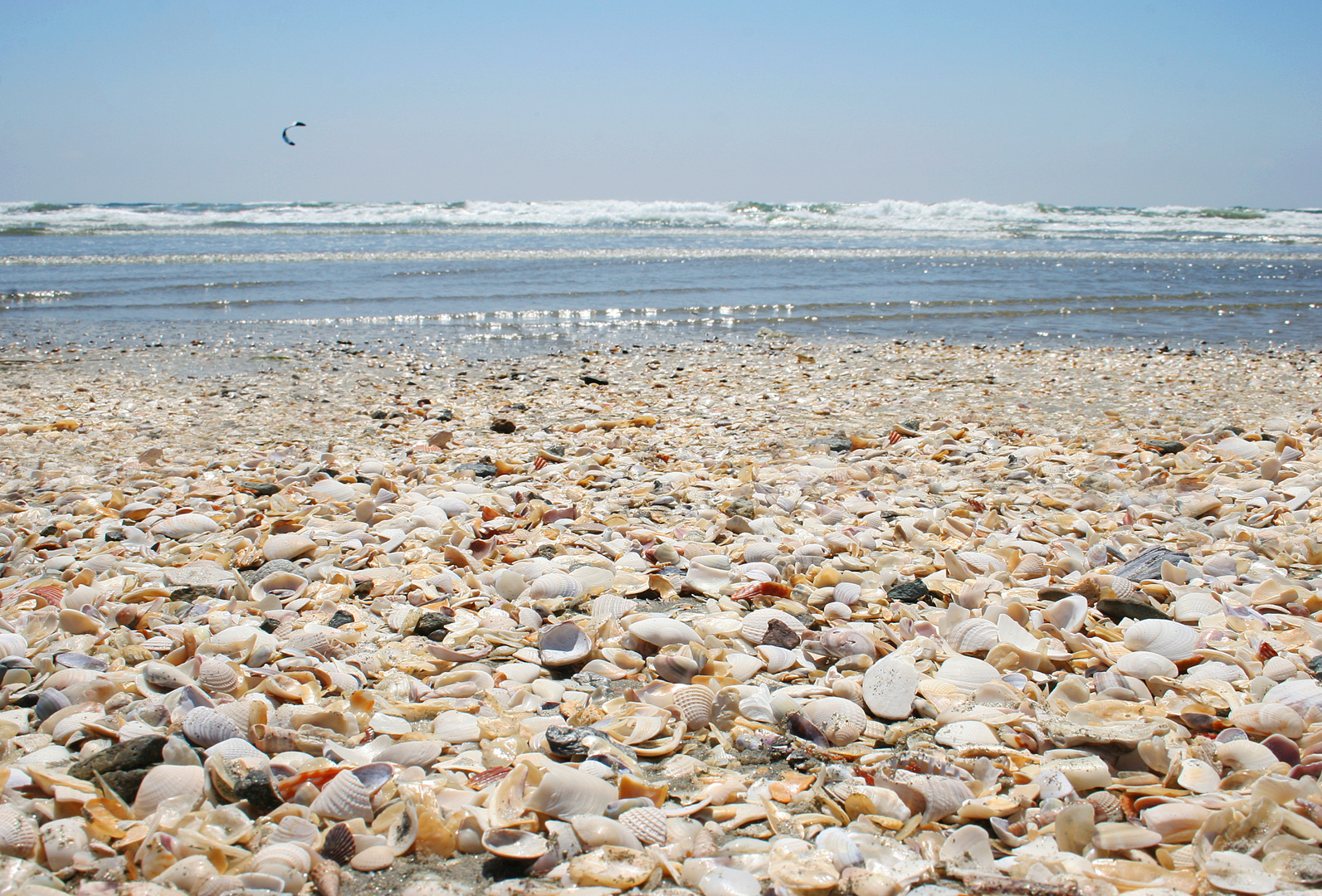 Muschelstrand