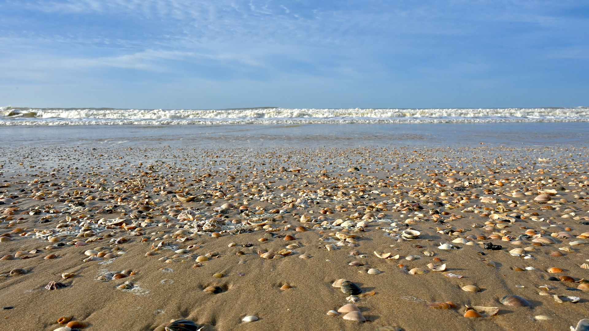 Muschelstrand