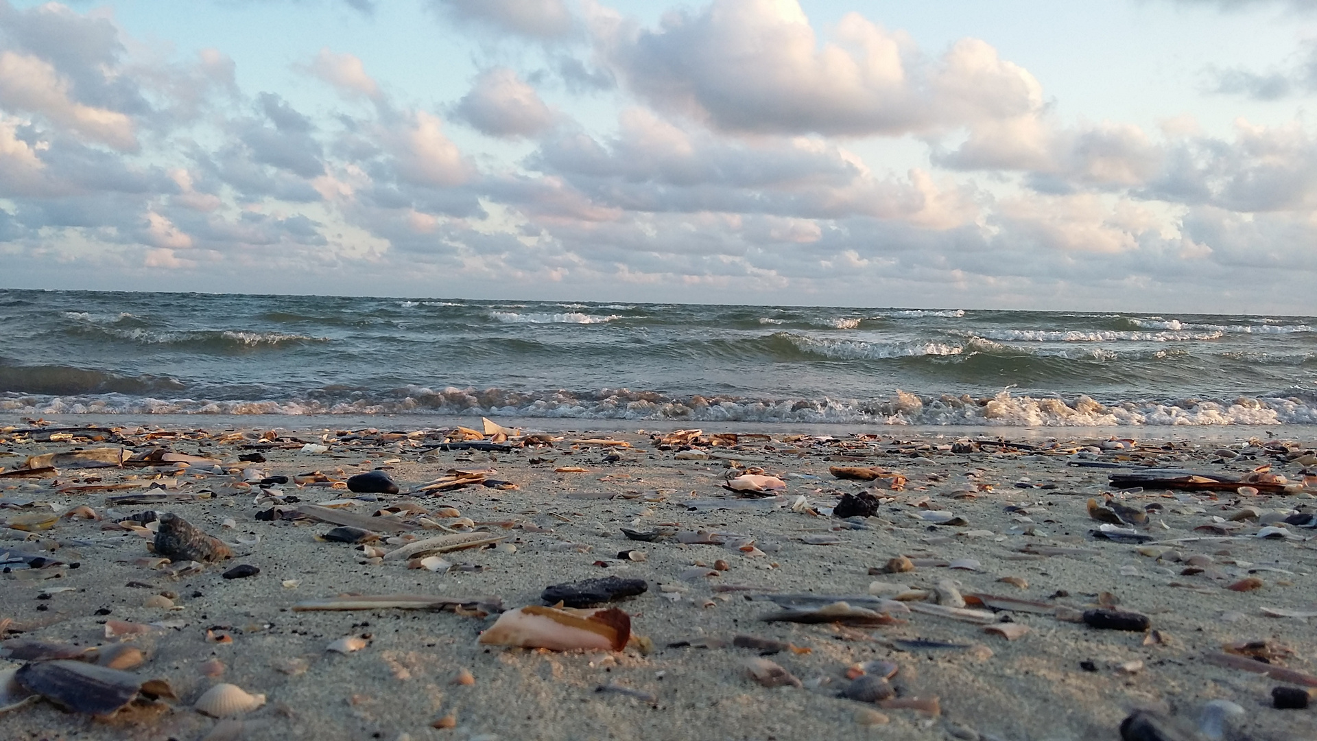 Muschelstrand