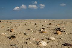 Muschelstrand