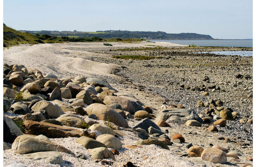 Muschelstrand