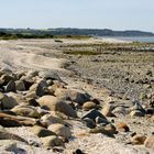 Muschelstrand