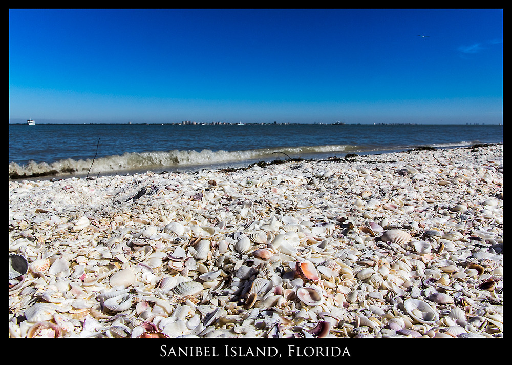 Muschelstrand auf Sanibel Island