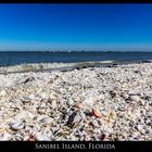 Muschelstrand auf Sanibel Island