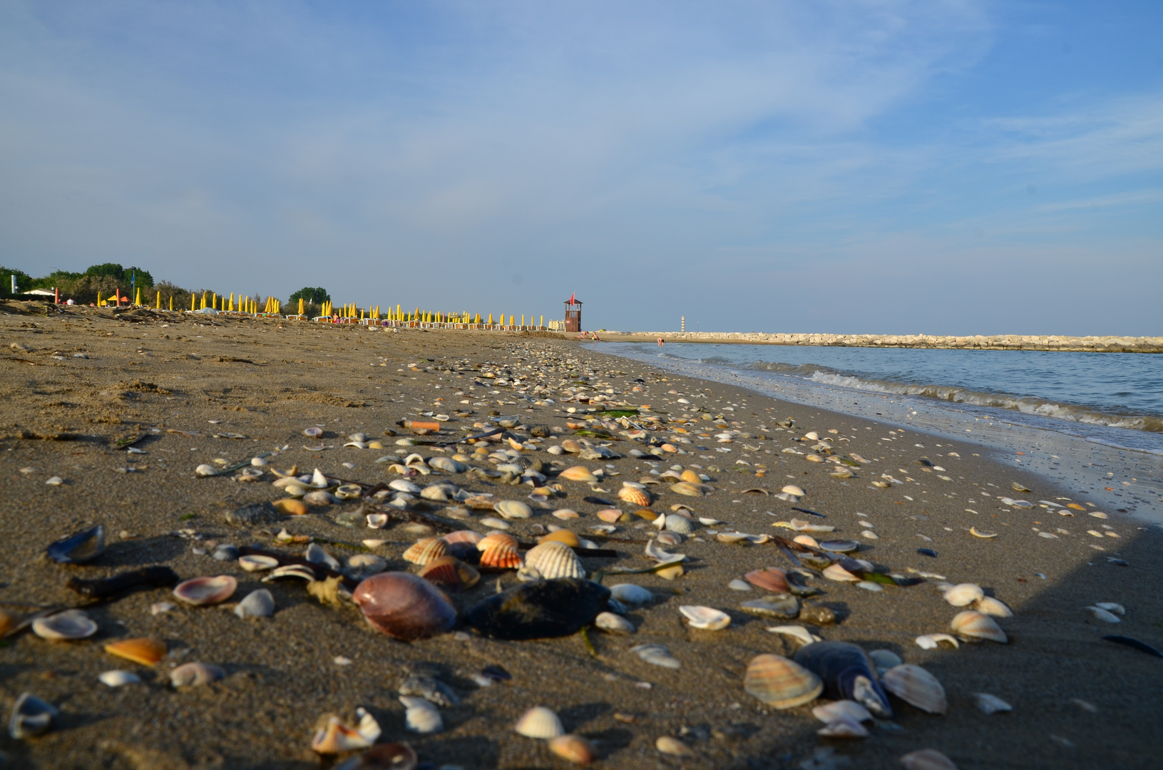 Muschelstrand bei Cavalino