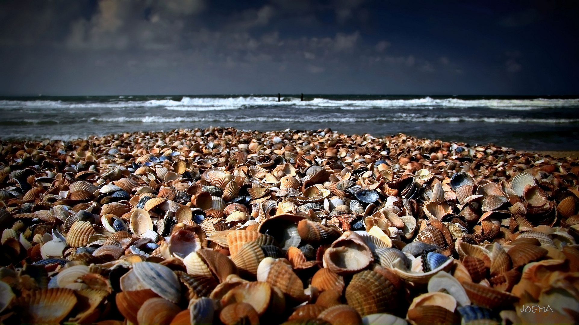 Muschelstrand