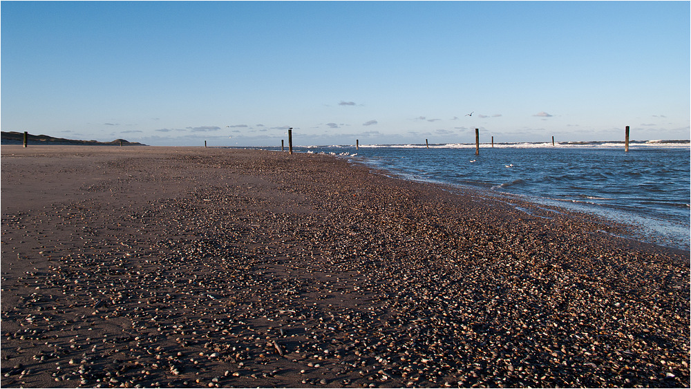 Muschelstrand