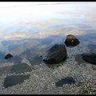 Muschelstrand und Spiegelungen