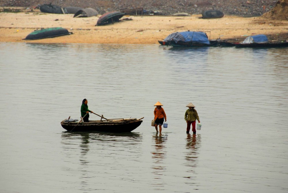 muschelsuche vietnam