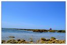 " Muschelsucher auf der Île dOléron " by Strato Caster 