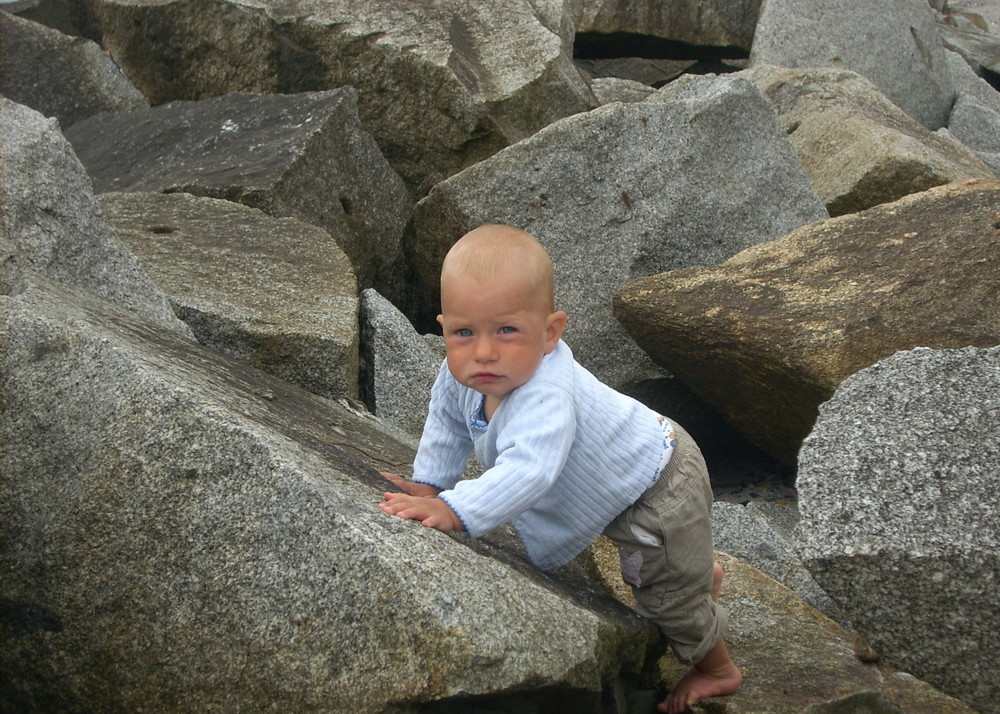 Muschelsucher auf Hiddensee II