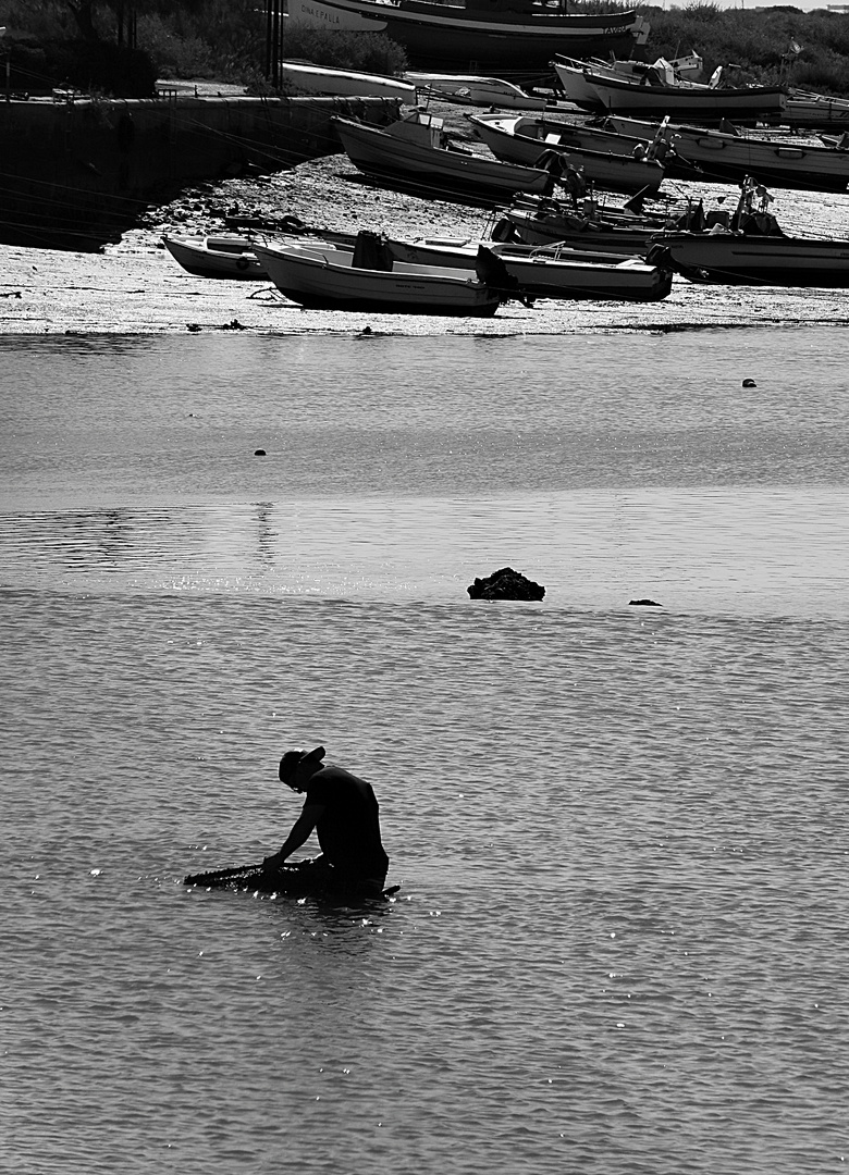 Muschelsucher Rio Gilão