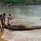 Muscheltaucher in Kovalam