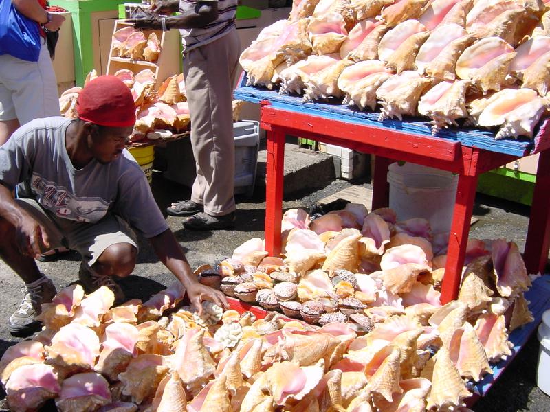 Muschelverkäufer auf Grenada