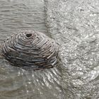 Muschelvulkan Westerhever 2