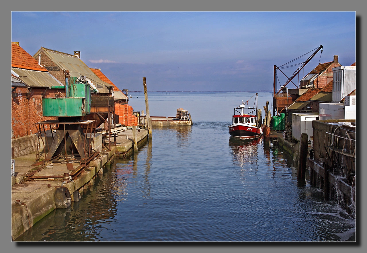 Muschelzucht/Yerseke