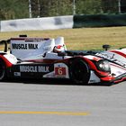 Muscle Milk Honda unterwegs in Road Atlanta