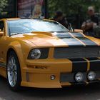 Muscle Mustang II