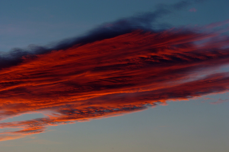 muscle or cloud ?????