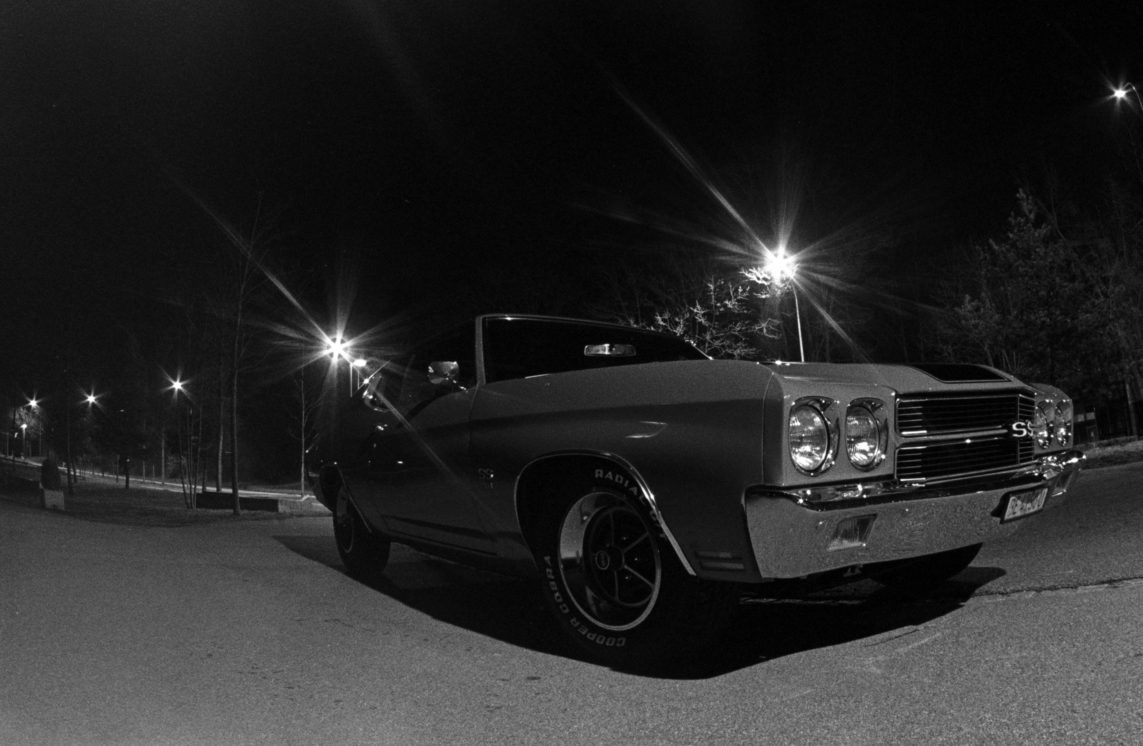 Musclecar by Night