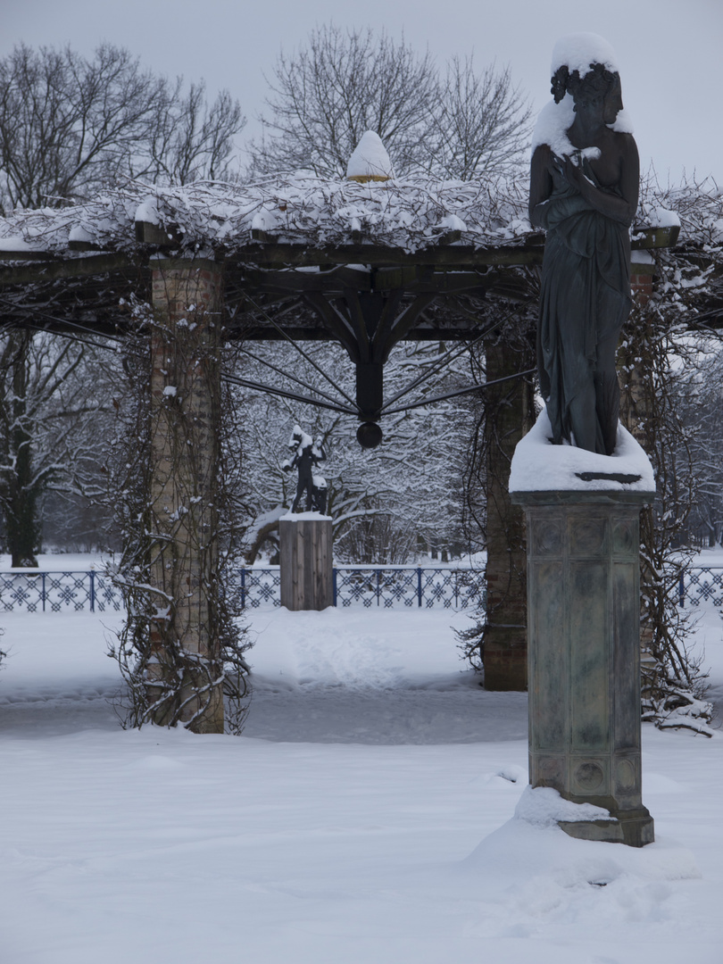 Muse im Schnee