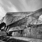 Musée Des Confluences
