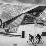 Musée des Confluences