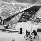 Musée des Confluences