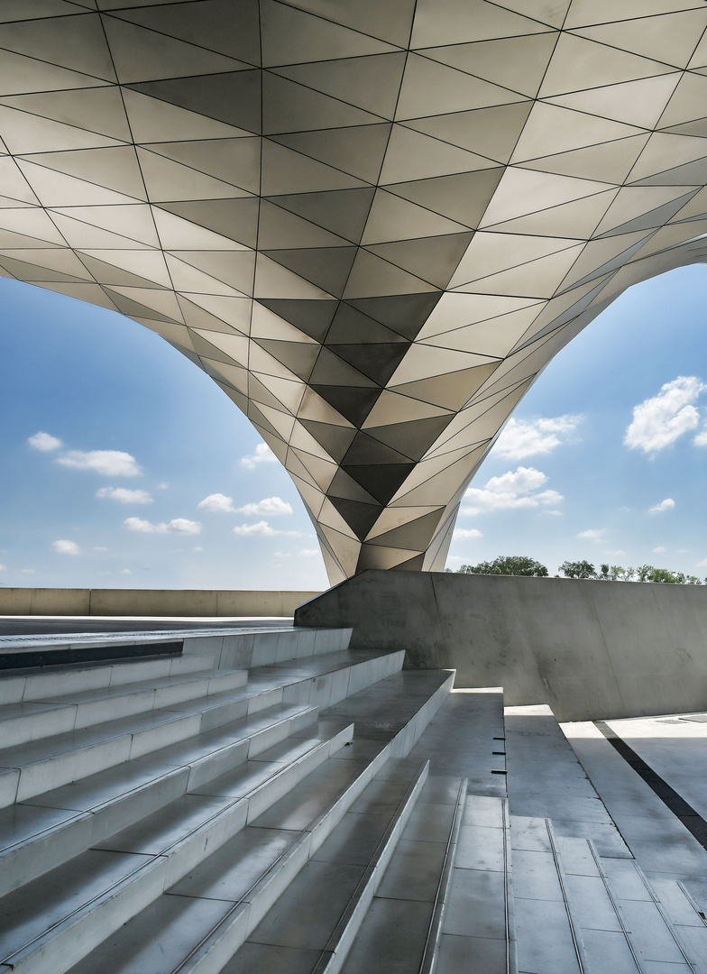 Musée des Confluences