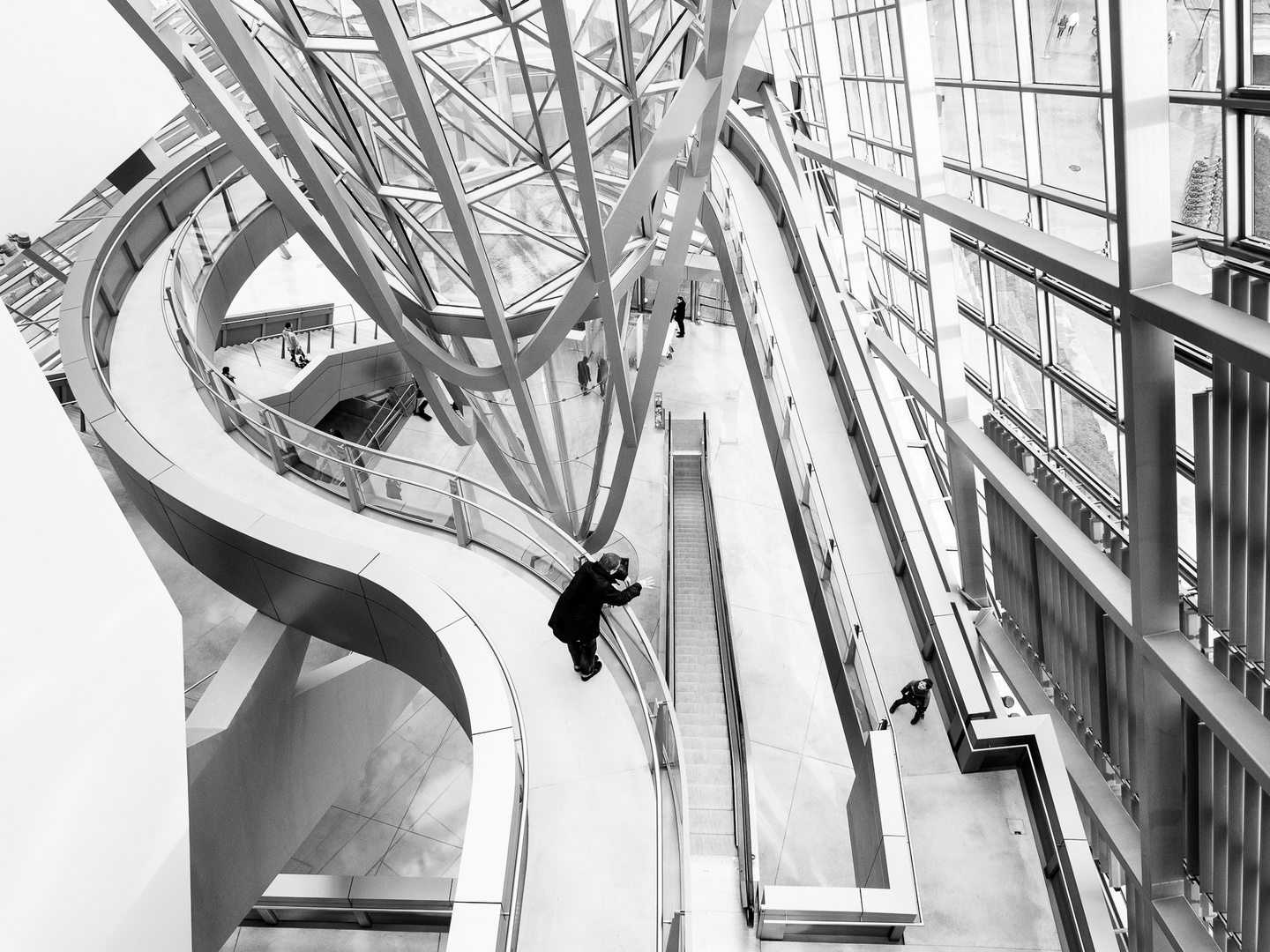 Musée des confluences