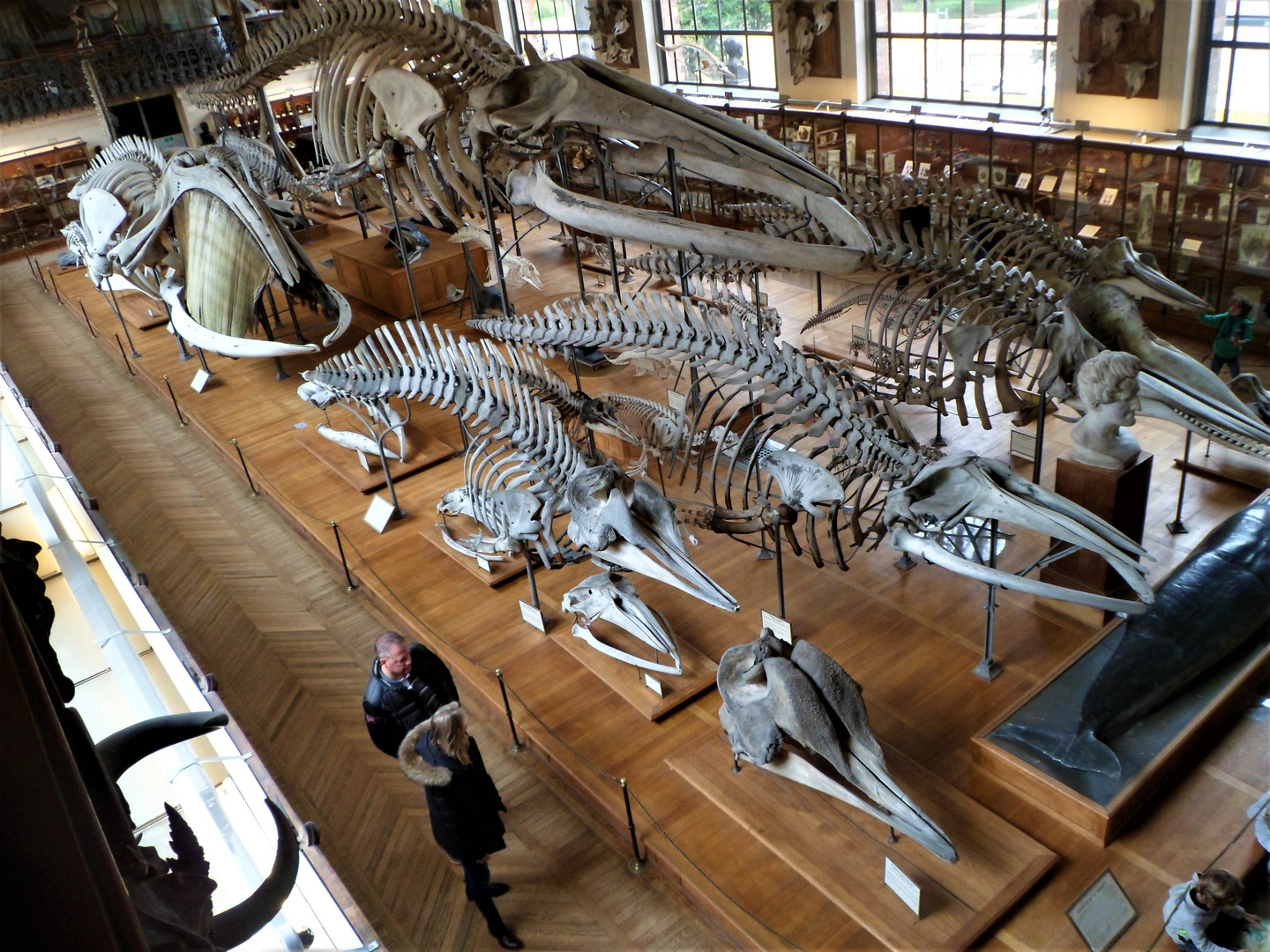 Musée d'Histoire Naturelle à PARIS