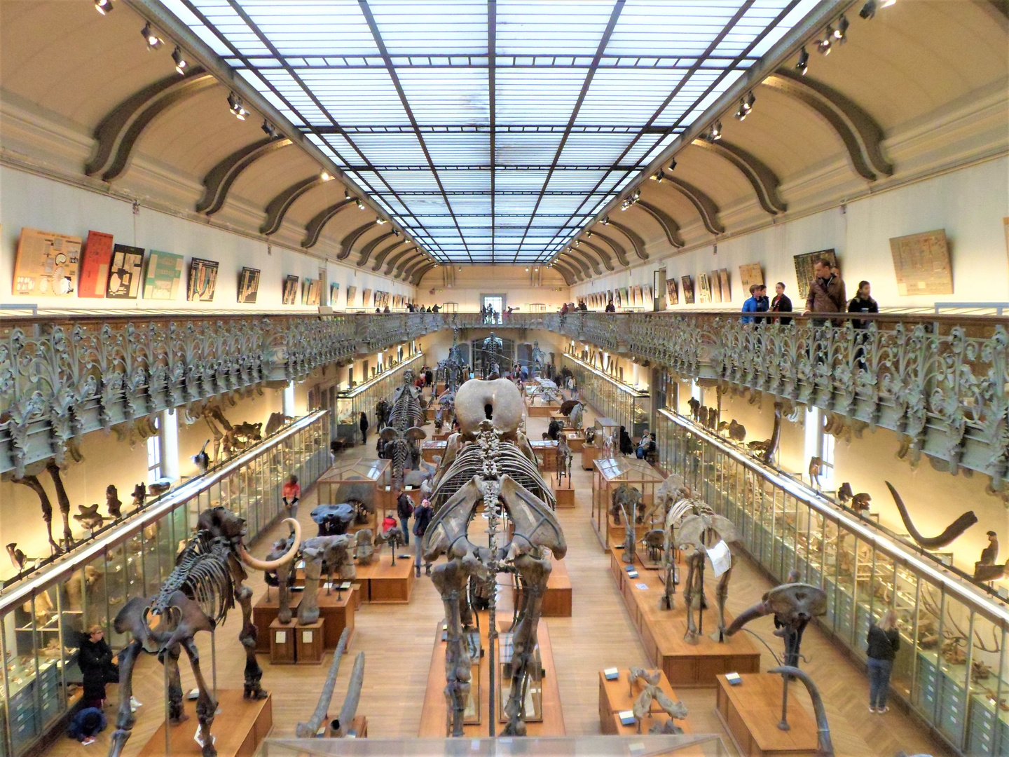 Musée d'Histoire Naturelle à PARIS photo et image | photos art et ...