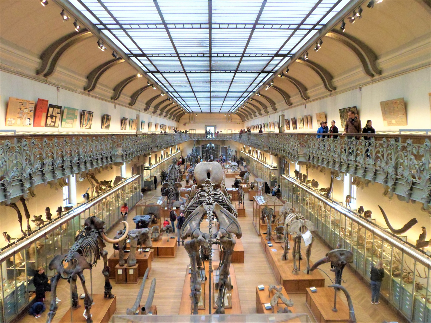 Musée d'Histoire Naturelle à PARIS